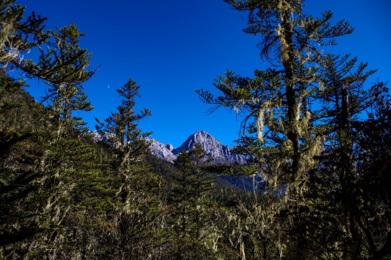 Sichuan Mountains 5